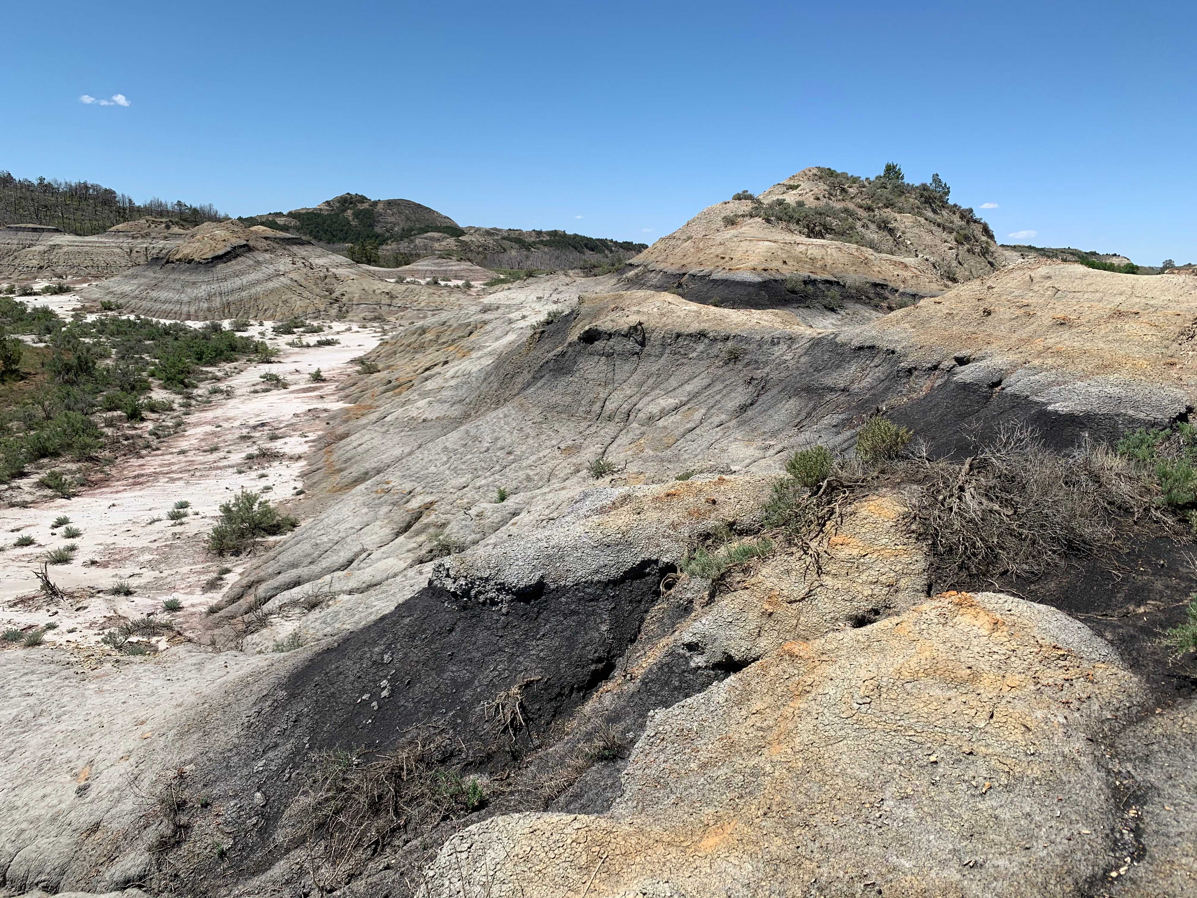 Theodore Roosevelt NP